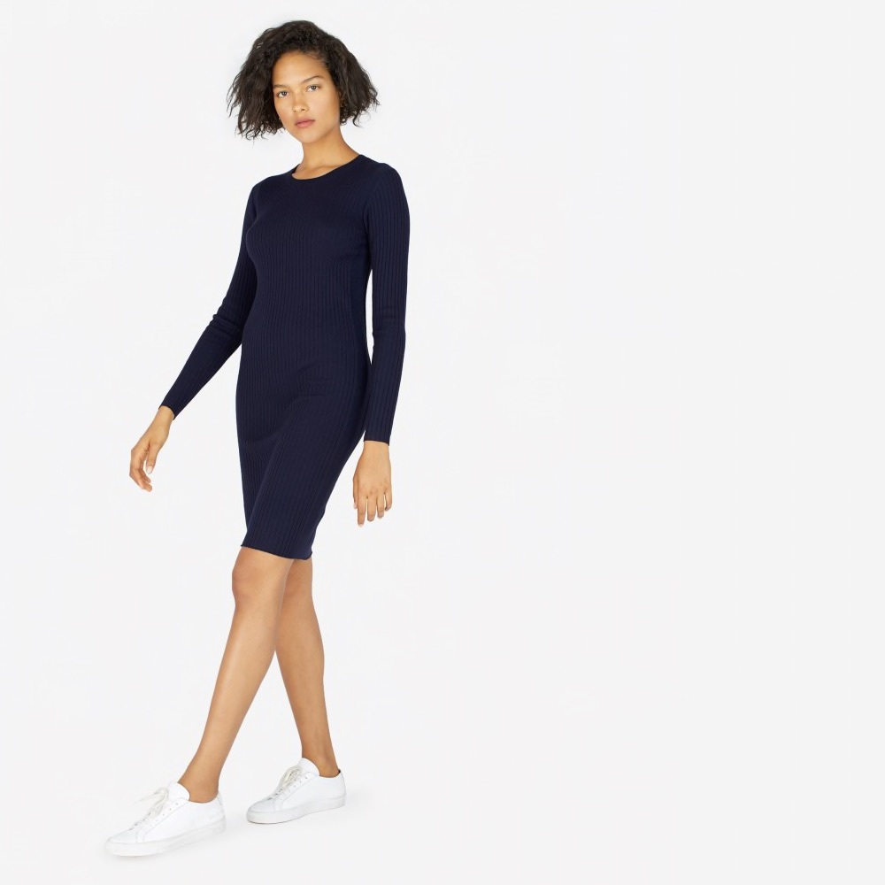 Everlane Luxe Wool Ribbed Long-Sleeve Dress